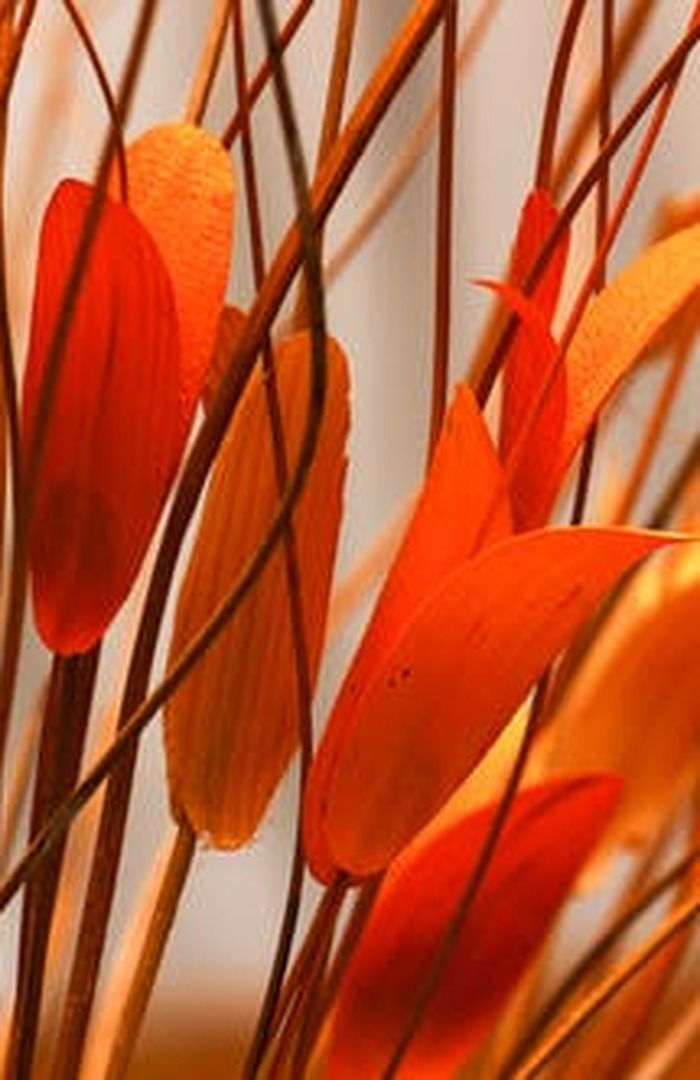 TILSKUDD TIL KOMPETANSEHEVING OG BEDRIFTSINTERN OPPLÆRING - RETTET MOT BEDRIFTER MED MER ENN 25 ÅRSVERK