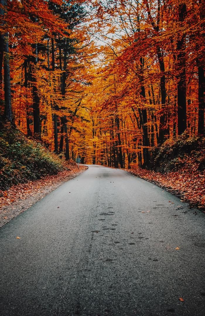 VI HAR INNGÅTT SAMARBEID MED ØKOSERVICE AS