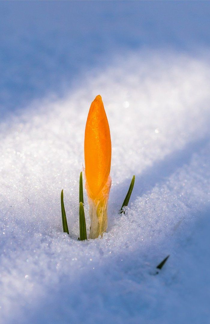 AVTALER MELLOM EIERE OG AKSJESELSKAP