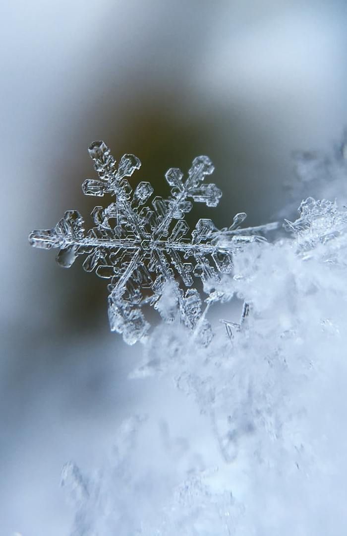 OPPLYSNINGSPLIKT FOR UTBETALINGER TIL SELVSTENDIG NÆRINGSDRIVENDE