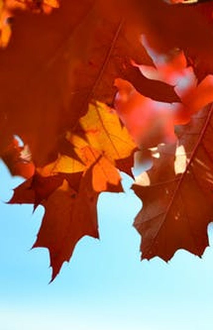 KOMPENSASJONSORDNINGEN