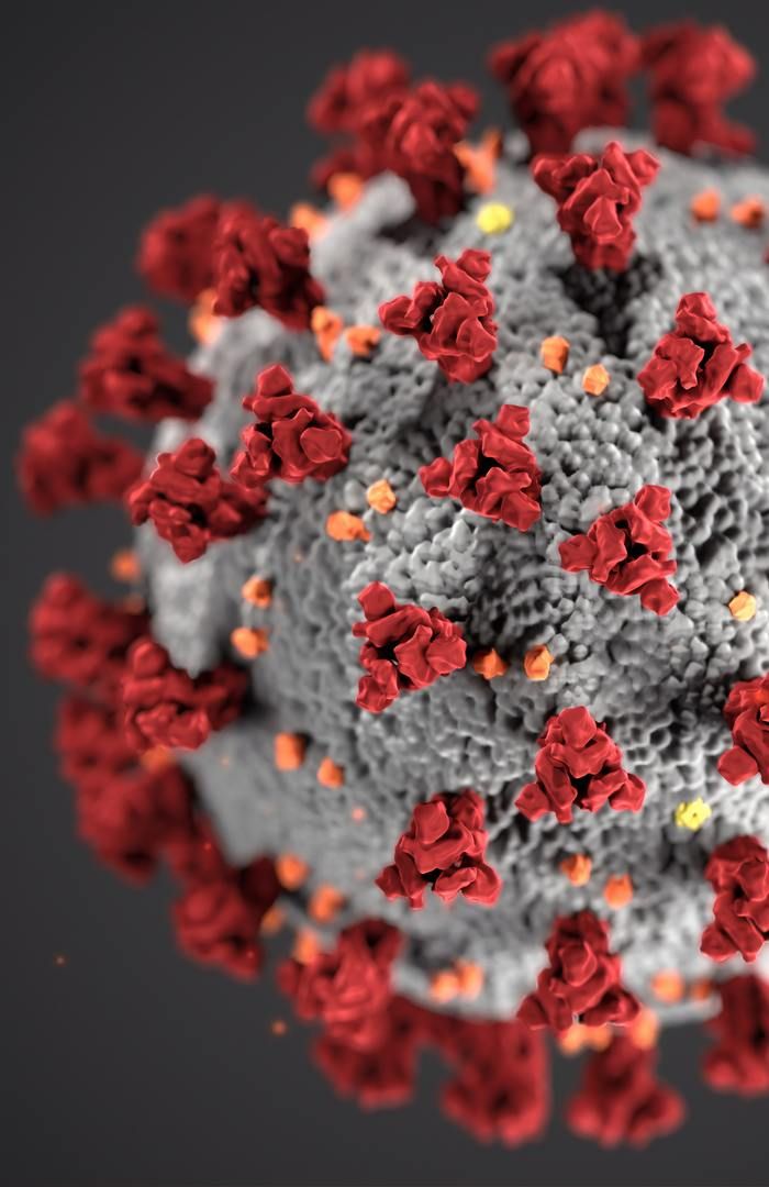 Regjeringen har kommet med lønnsstøtte til koronarammede bedrifter