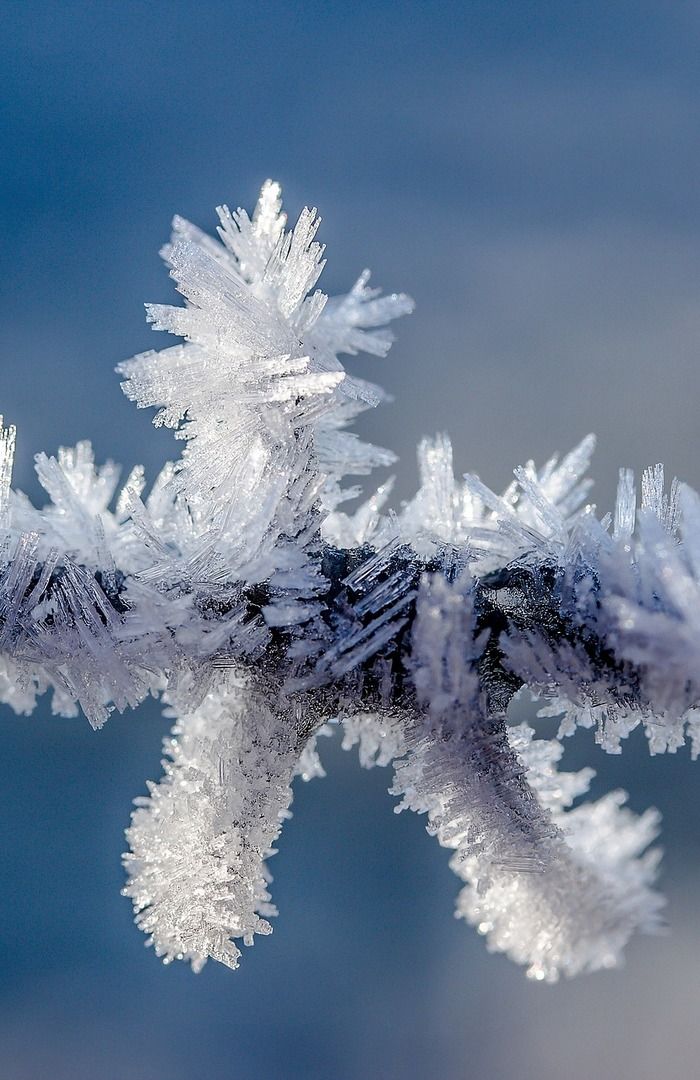 SENIORER I ARBEIDSLIVET