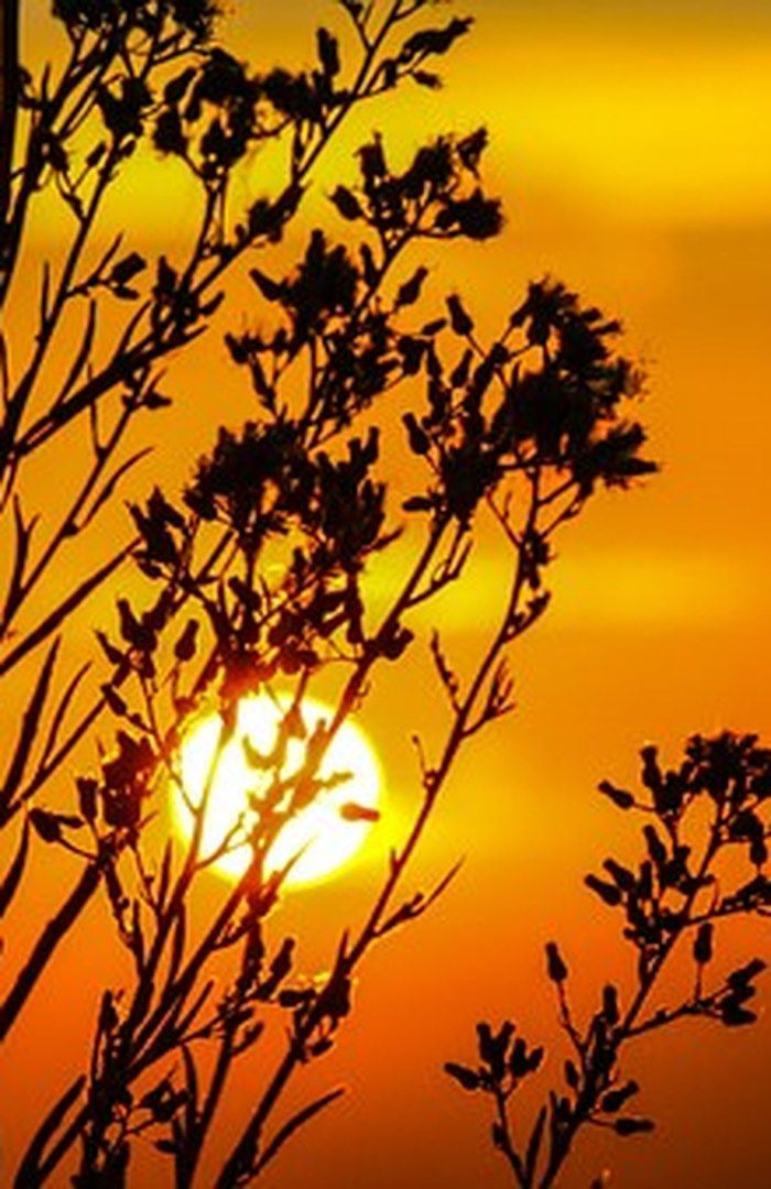 REDUSERT SATS FOR MVA FRA 12 TIL 6 % VIDEREFØRES UT ÅRET